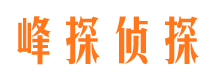 江汉侦探